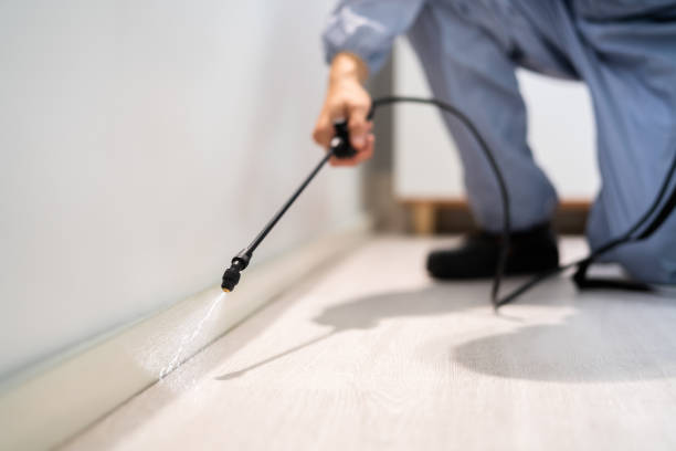 Certified termite inspector examining foundation in Florence
